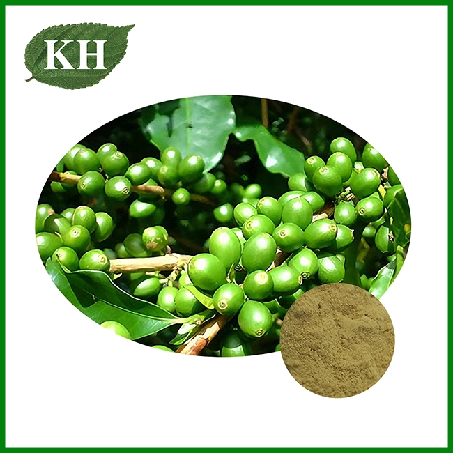 Natural Green Coffee Bean Extract